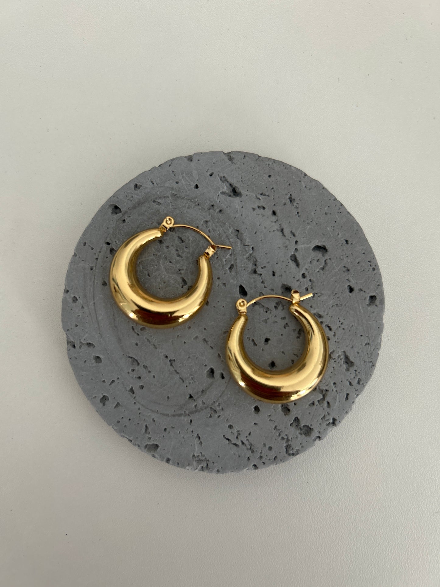 Sylvie Hoop Earrings