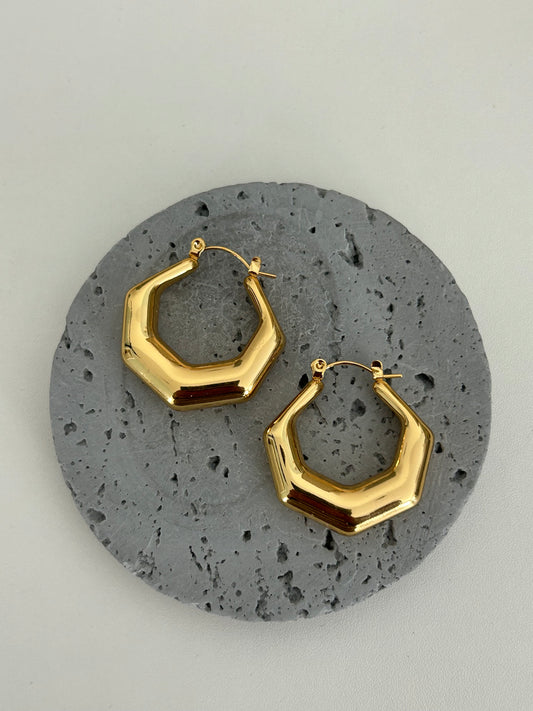 Carla Hoop Earrings
